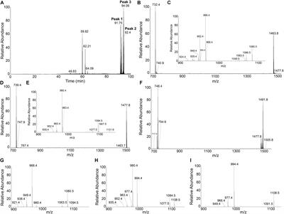 Fengycins From Bacillus amyloliquefaciens MEP218 Exhibit Antibacterial Activity by Producing Alterations on the Cell Surface of the Pathogens Xanthomonas axonopodis pv. vesicatoria and Pseudomonas aeruginosa PA01